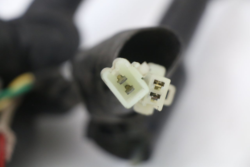 photo de WIRE HARNESS DAELIM VL DAYSTAR 125 (2000 - 2011) - Distinctive features