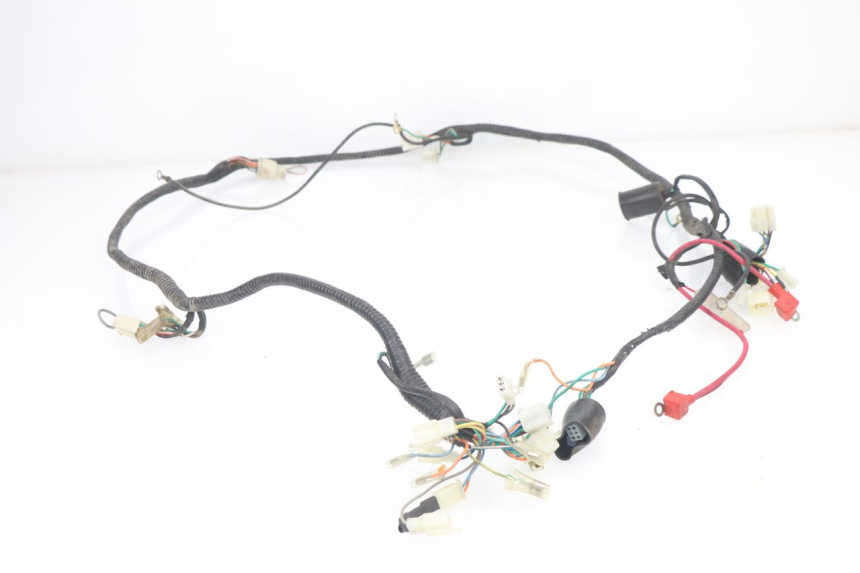 photo de WIRE HARNESS BHM WACO 4T 50 (2008 - 2015) - Technical close-up