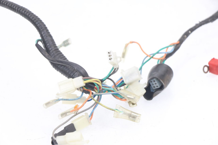 photo de WIRE HARNESS BHM WACO 4T 50 (2008 - 2015) - Product overview