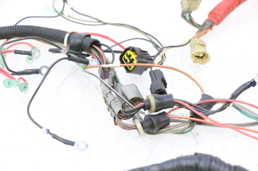 photo de WIRE HARNESS YAMAHA WAVE RUNNER GP R 1200 (2000 - 2003) - Distinctive features