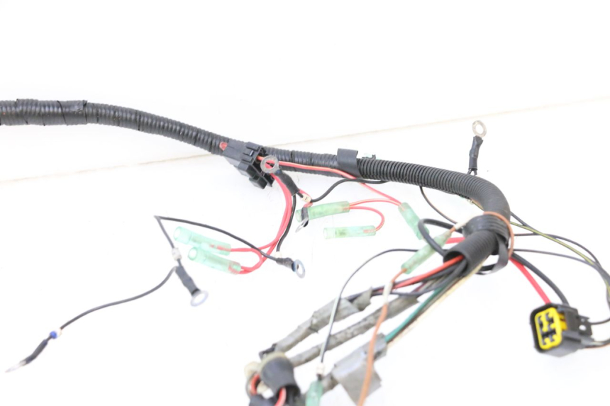 photo de WIRE HARNESS YAMAHA WAVE RUNNER GP R 1200 (2000 - 2003) - Focus on structure