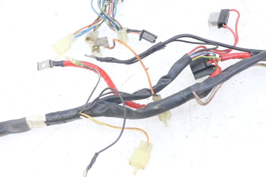 photo de WIRE HARNESS YAMAHA WHY 50 (1998 - 2000) - Technical close-up