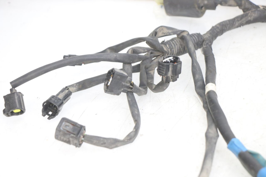 photo de WIRING HARNESS YAMAHA X-MAX XMAX 250 (2006 - 2009) - Checked used part