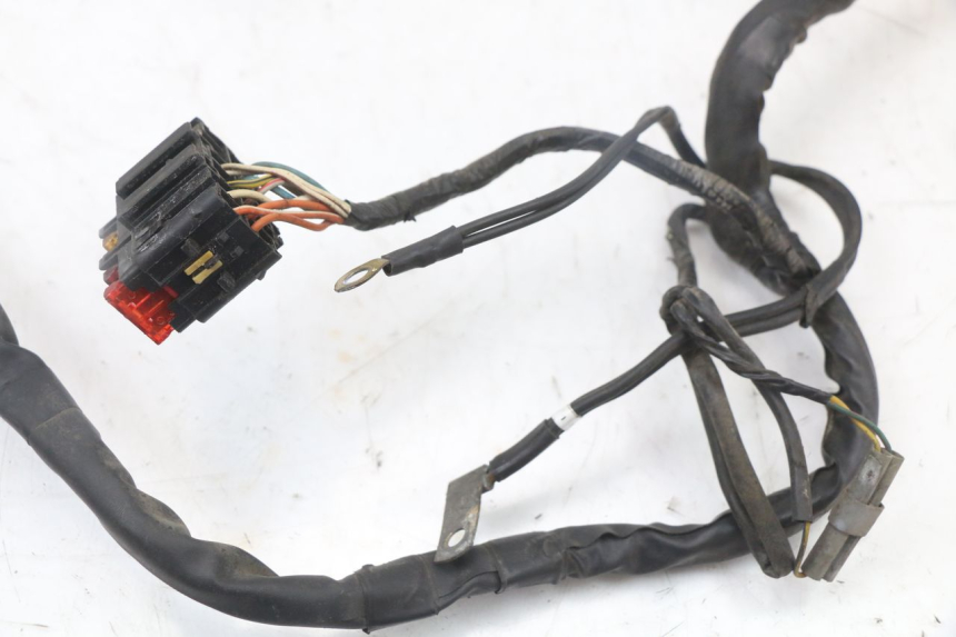 photo de WIRE HARNESS PIAGGIO X8 125 (2004 - 2007) - Additional view of the item
