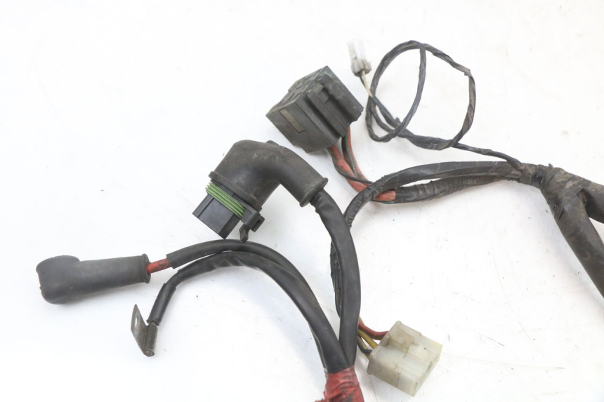 photo de WIRE HARNESS PIAGGIO X8 125 (2004 - 2007) - Checked used part