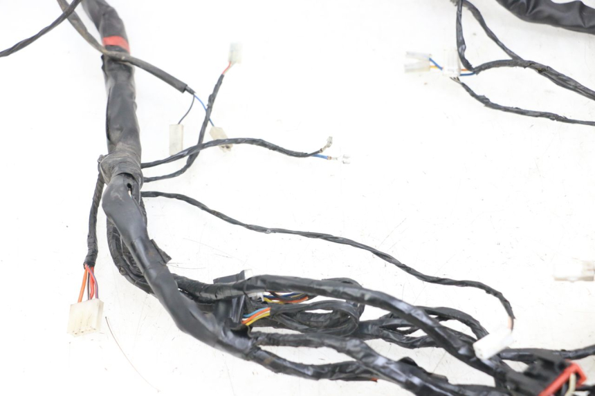 photo de WIRE HARNESS PIAGGIO X8 125 (2004 - 2007) - Fixing points details