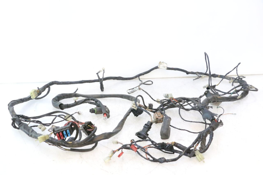 photo de WIRE HARNESS PIAGGIO X9 AMALFI 180 (2000 - 2003) - Main view
