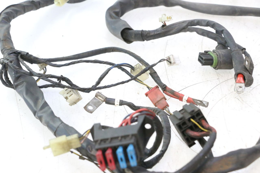 photo de WIRE HARNESS PIAGGIO X9 AMALFI 180 (2000 - 2003) - Component detail