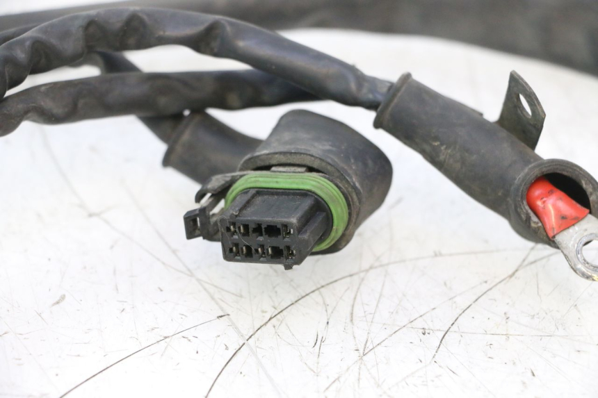 photo de WIRE HARNESS PIAGGIO X9 AMALFI 180 (2000 - 2003) - Zoom on usage condition