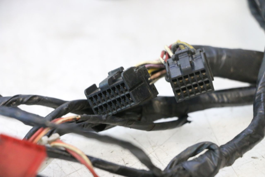 photo de WIRE HARNESS PIAGGIO X9 AMALFI 180 (2000 - 2003) - Product overview
