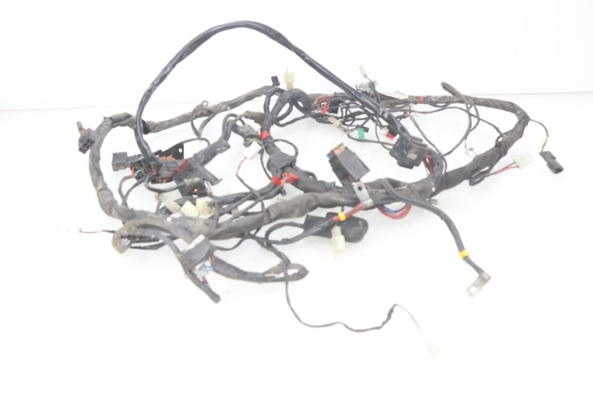 photo de WIRING HARNESS PIAGGIO X9 EVOLUTION 125 (2003 - 2007) - Component detail