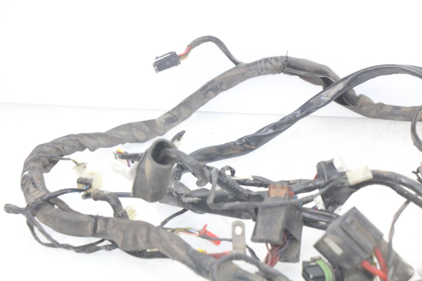 photo de WIRING HARNESS PIAGGIO X9 EVOLUTION 125 (2003 - 2007) - Distinctive features
