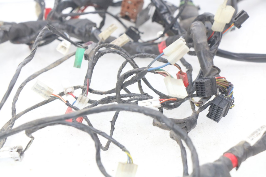 photo de WIRING HARNESS PIAGGIO X9 EVOLUTION 125 (2003 - 2007) - Alternative perspective