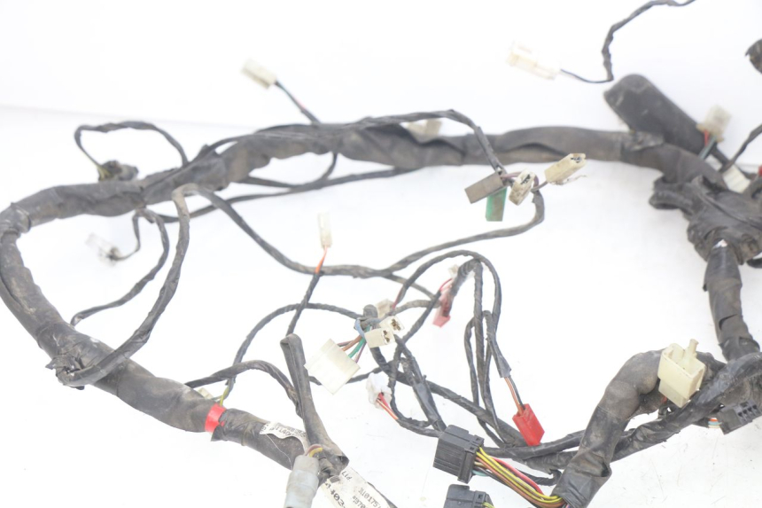 photo de WIRING HARNESS PIAGGIO X9 EVOLUTION 125 (2003 - 2007) - Fixing points details