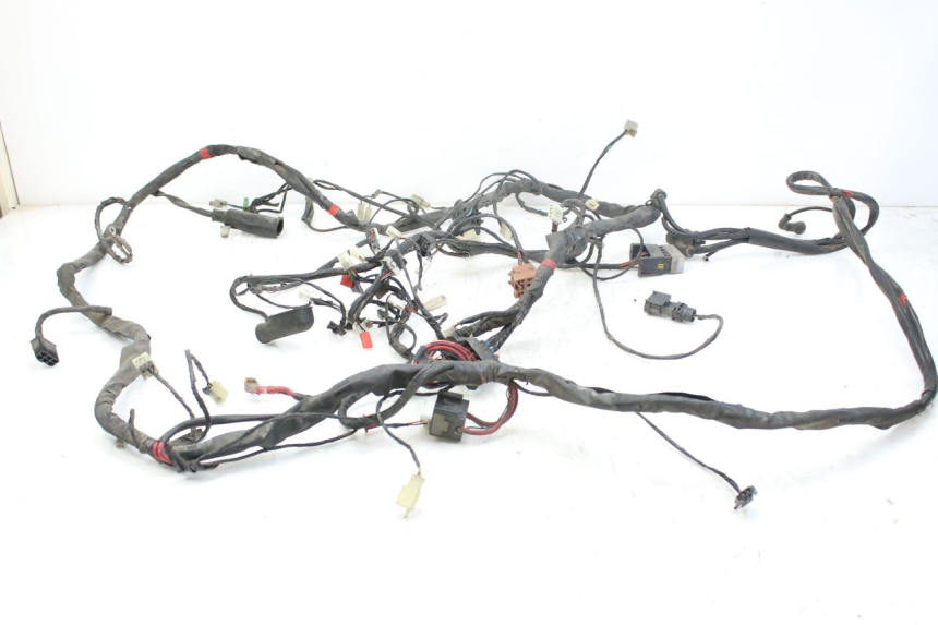 photo de WIRING HARNESS PIAGGIO X9 EVOLUTION 125 (2003 - 2007) - Main view