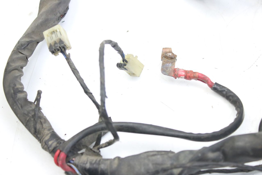 photo de WIRING HARNESS PIAGGIO X9 EVOLUTION 125 (2003 - 2007) - Component zoom
