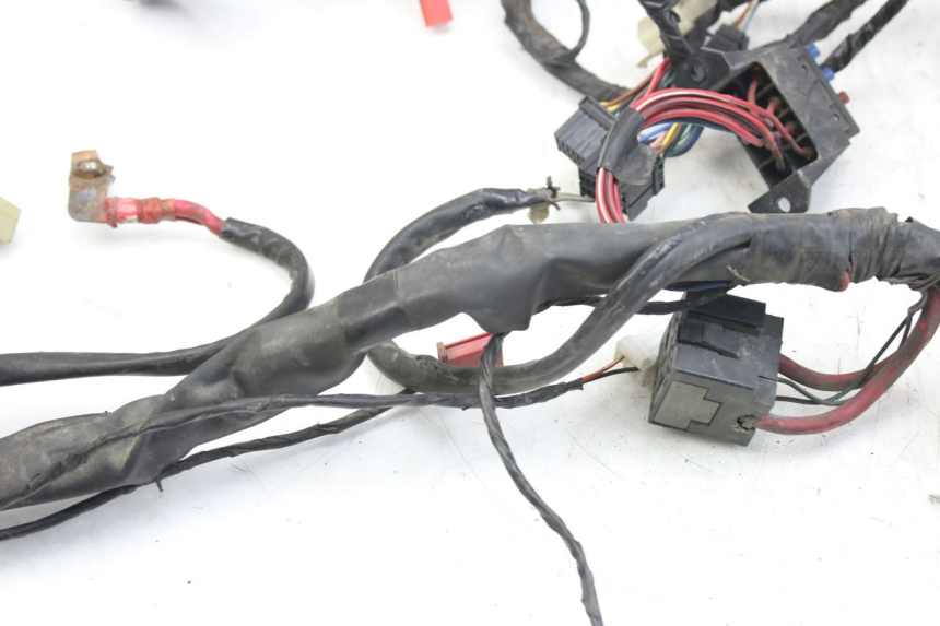 photo de WIRING HARNESS PIAGGIO X9 EVOLUTION 125 (2003 - 2007) - High-resolution close-up