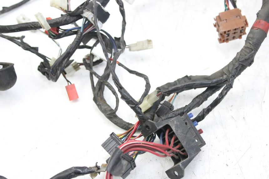 photo de WIRING HARNESS PIAGGIO X9 EVOLUTION 125 (2003 - 2007) - Zoom on usage condition