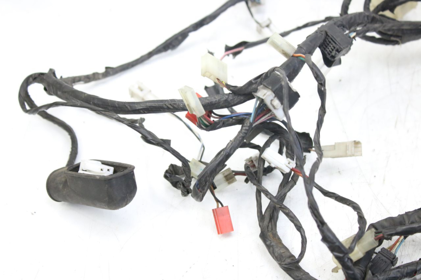 photo de WIRING HARNESS PIAGGIO X9 EVOLUTION 125 (2003 - 2007) - Alternative perspective