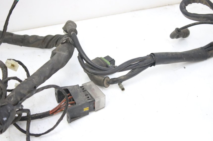 photo de WIRING HARNESS PIAGGIO X9 EVOLUTION 125 (2003 - 2007) - Surface and material condition