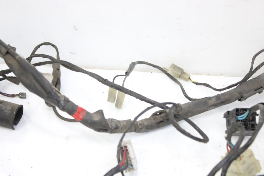 photo de WIRING HARNESS PIAGGIO X9 EVOLUTION 125 (2003 - 2007) - Markings and original references