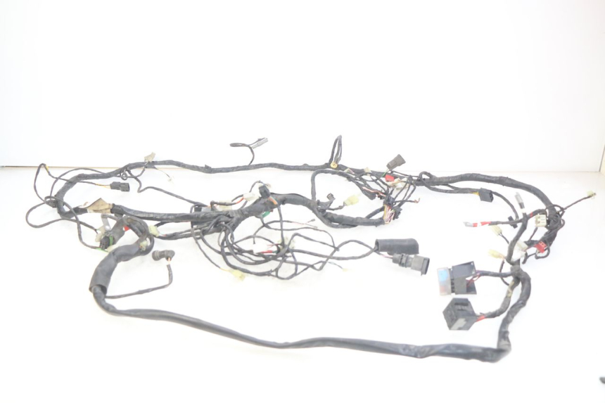 photo de WIRING HARNESS PIAGGIO X9 125 (2000 - 2003) - Main view