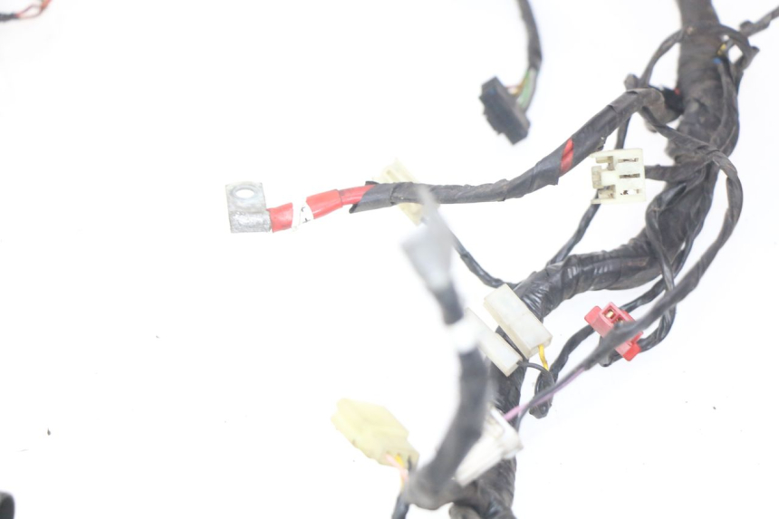 photo de WIRING HARNESS PIAGGIO X9 125 (2000 - 2003) - Checked used part