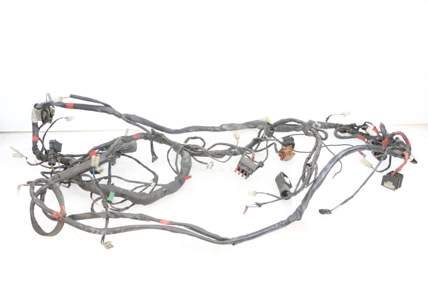photo de WIRING HARNESS PIAGGIO X9 125 (2000 - 2003) - Main view