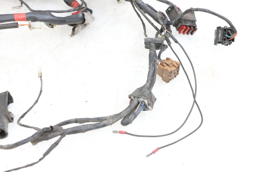 photo de WIRING HARNESS PIAGGIO X9 125 (2000 - 2003) - Component detail