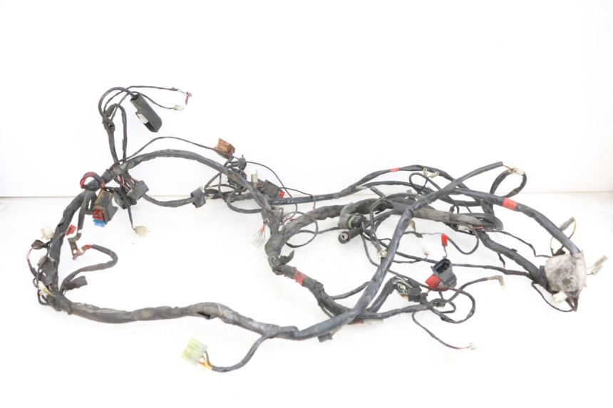 photo de WIRING HARNESS PIAGGIO X9 125 (2000 - 2003) - Fixing points details