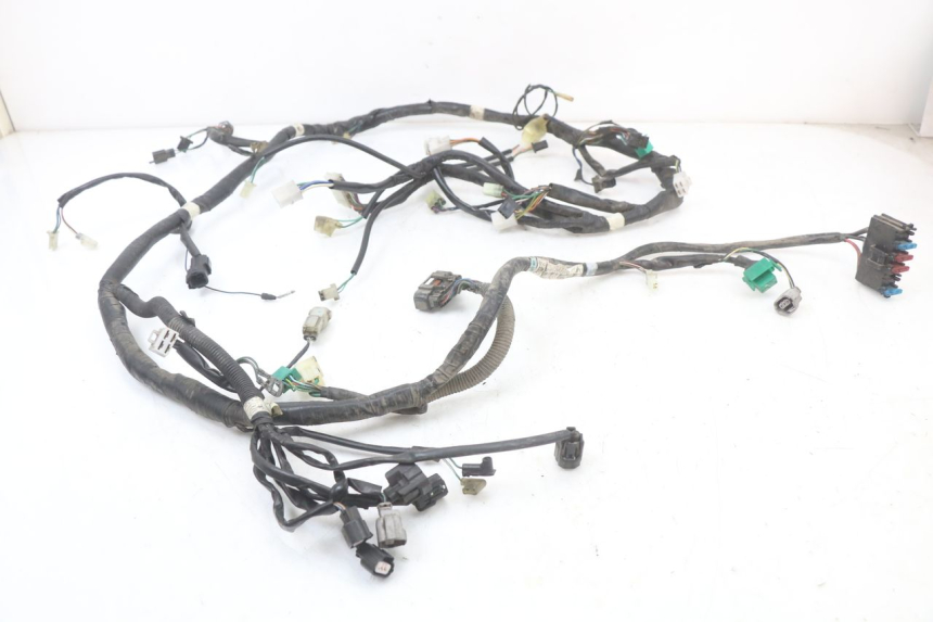 photo de Wiring harness KYMCO XCITING 250 (2006 - 2009) - Main view