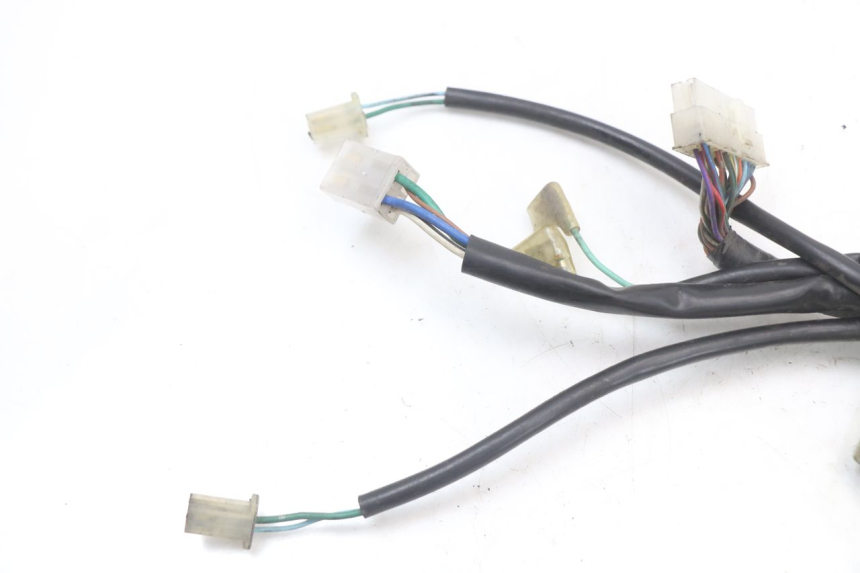 photo de Wiring harness KYMCO XCITING 250 (2006 - 2009) - Detailed visual inspection