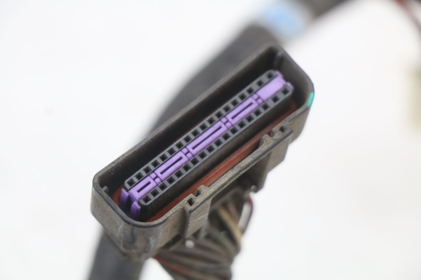 photo de Wiring harness KYMCO XCITING 250 (2006 - 2009) - Technical close-up