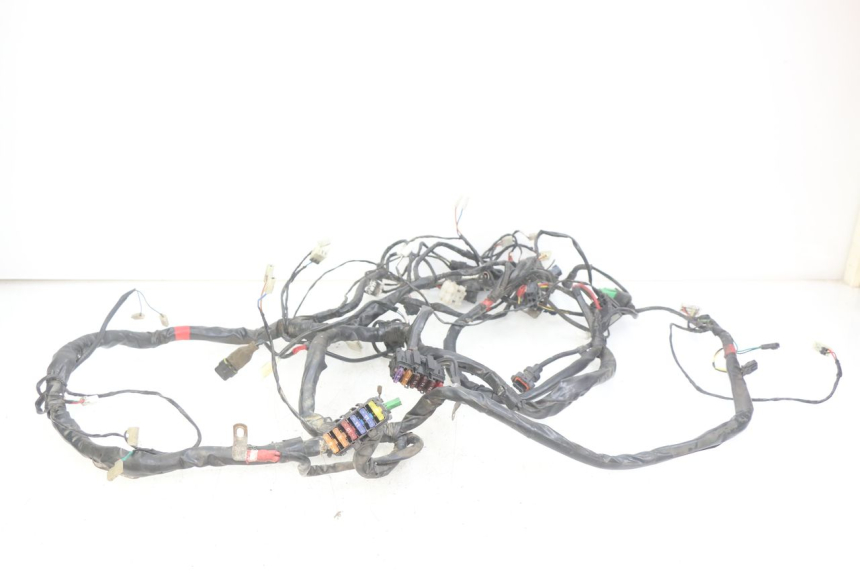 photo de WIRING HARNESS PIAGGIO XEVO - X EVO 125 (2007 - 2017) - Alternative perspective
