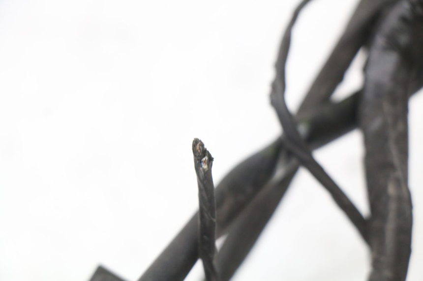 photo de WIRING HARNESS PIAGGIO XEVO - X EVO 125 (2007 - 2017) - Additional view of the item