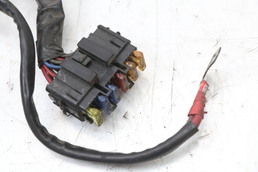 photo de WIRING HARNESS PIAGGIO XEVO - X EVO 125 (2007 - 2017) - Product overview