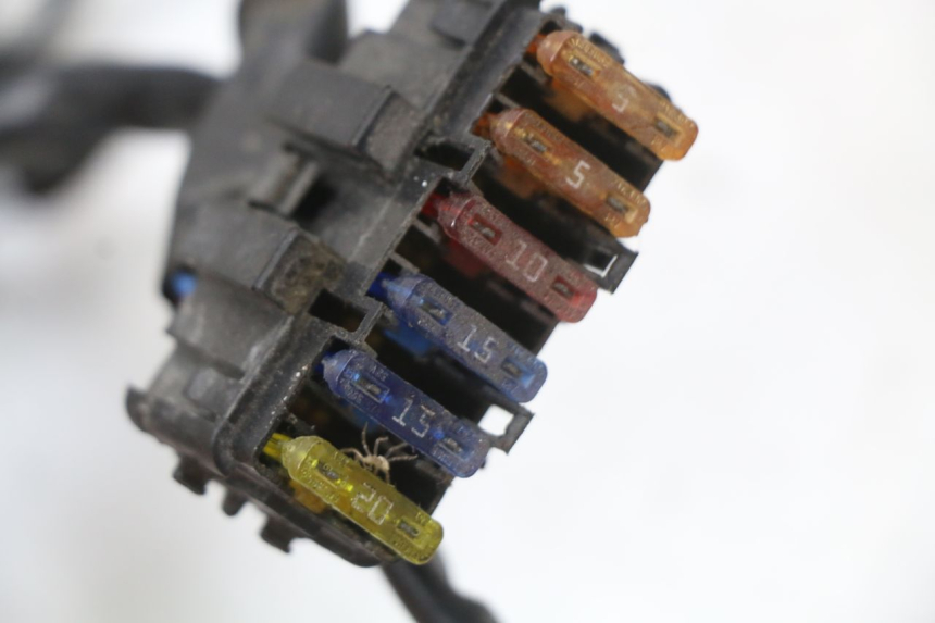 photo de WIRING HARNESS PIAGGIO XEVO - X EVO 125 (2007 - 2017) - Fixing points details