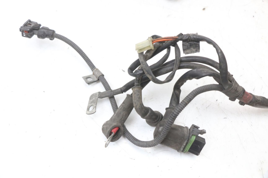 photo de WIRING HARNESS PIAGGIO XEVO - X EVO 125 (2007 - 2017) - Checked used part