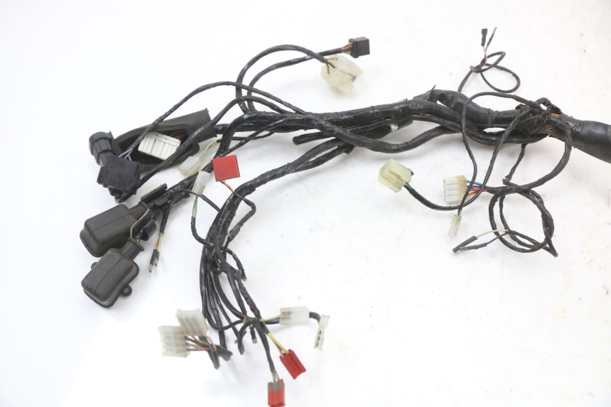 photo de WIRING HARNESS PIAGGIO XEVO - X EVO 125 (2007 - 2017) - Distinctive features