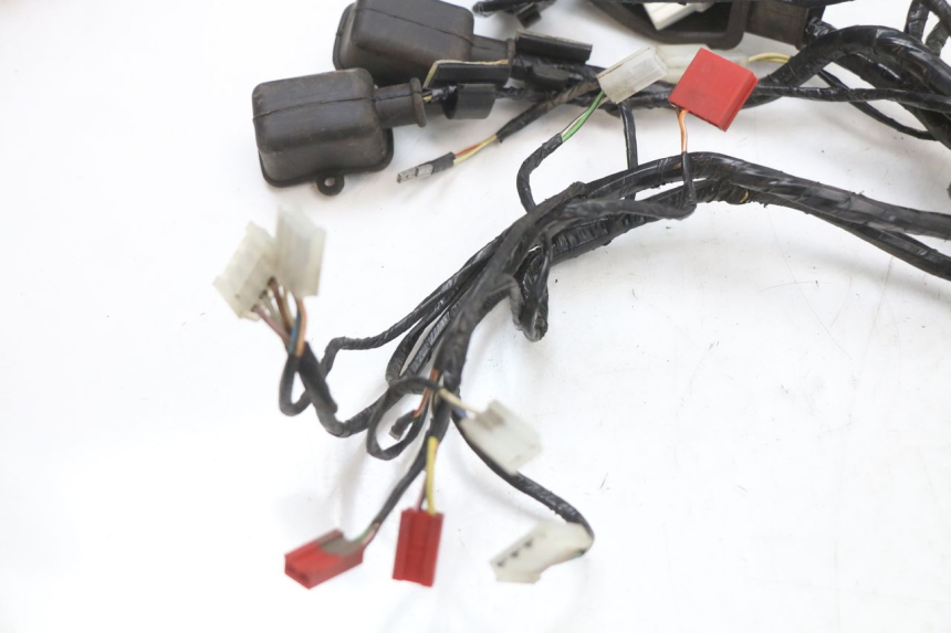 photo de WIRING HARNESS PIAGGIO XEVO - X EVO 125 (2007 - 2017) - Detailed visual inspection