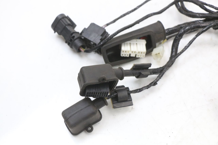 photo de WIRING HARNESS PIAGGIO XEVO - X EVO 125 (2007 - 2017) - Focus on structure