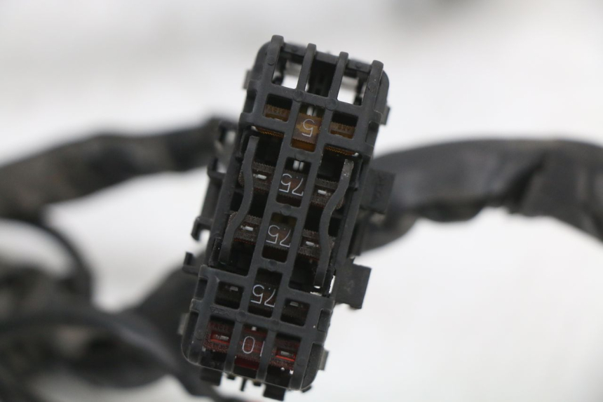 photo de WIRING HARNESS PIAGGIO XEVO - X EVO 125 (2007 - 2017) - Fixing points details