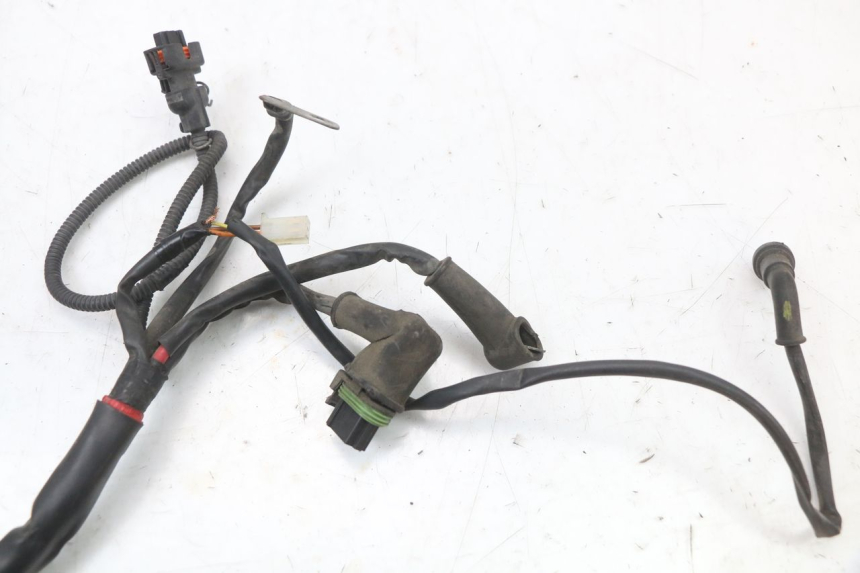 photo de WIRING HARNESS PIAGGIO XEVO - X EVO 125 (2007 - 2017) - Checked used part