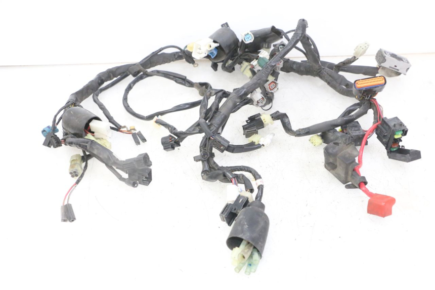 photo de WIRE HARNESS YAMAHA XJ6 ABS 600 (2008 - 2016) - Main view