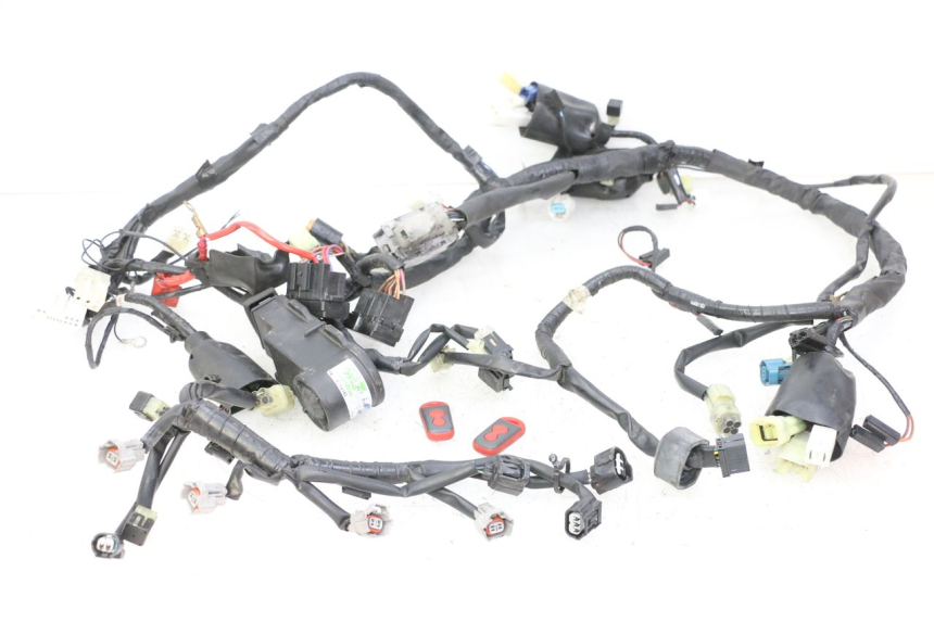 photo de WIRE HARNESS YAMAHA XJ6 ABS 600 (2008 - 2016) - Main view