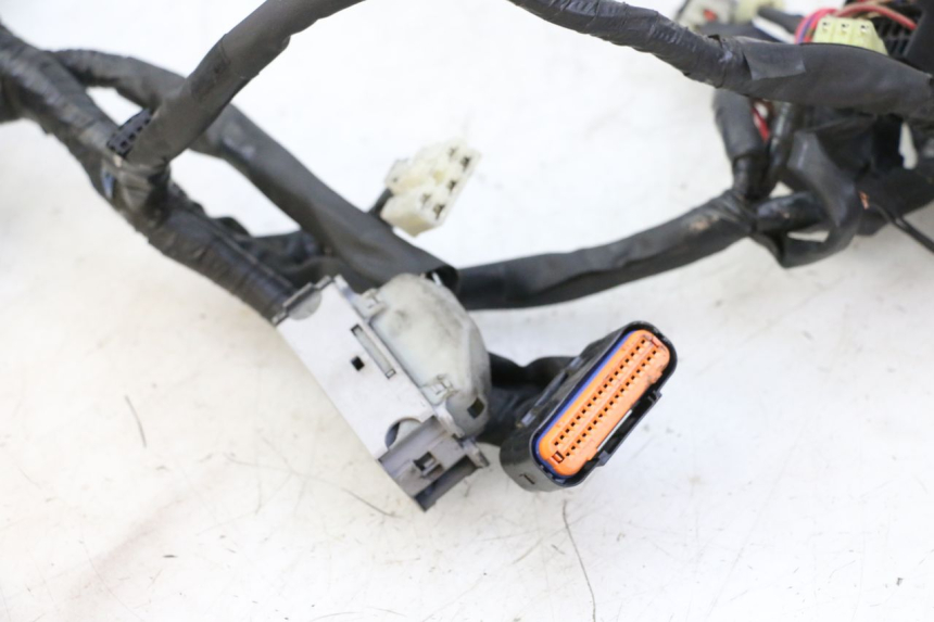 photo de WIRE HARNESS YAMAHA XJ6 ABS 600 (2008 - 2016) - Additional view of the item