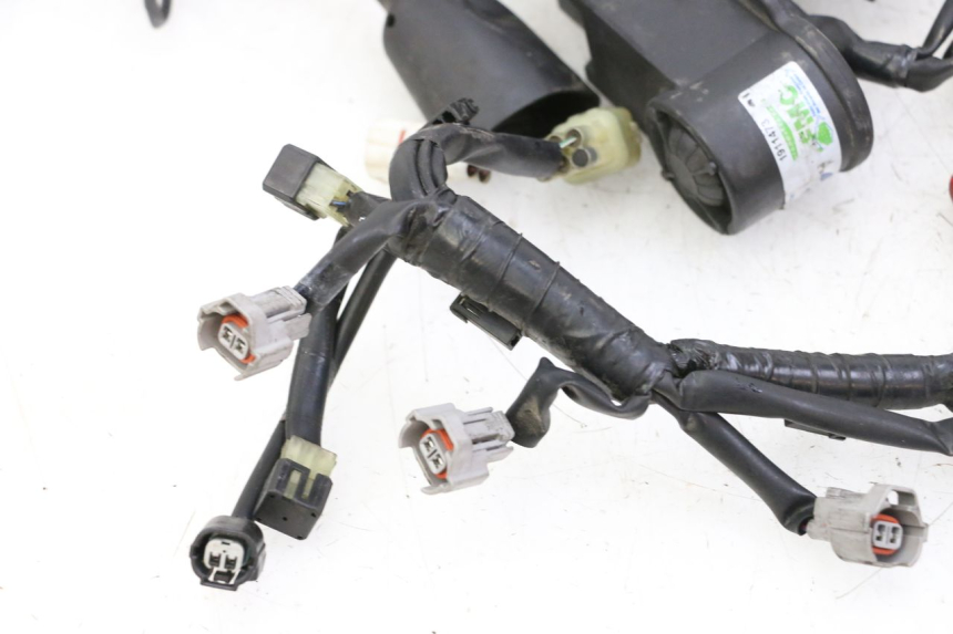 photo de WIRE HARNESS YAMAHA XJ6 ABS 600 (2008 - 2016) - Alternative angle