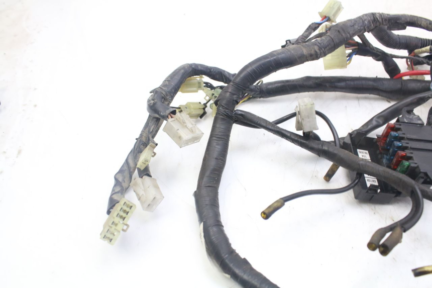 photo de WIRE HARNESS YAMAHA XJN DIVERSION 600 (2000 - 2003) - Alternative perspective