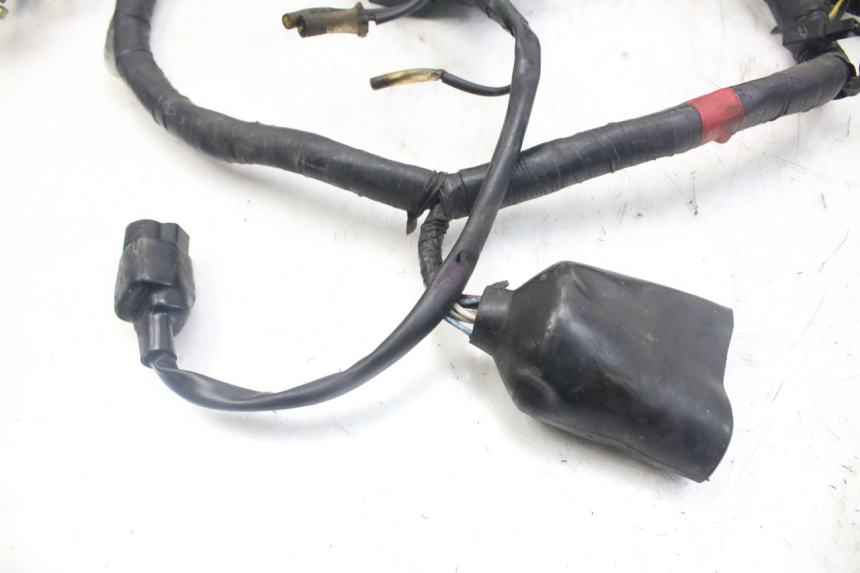 photo de WIRE HARNESS YAMAHA XJN DIVERSION 600 (2000 - 2003) - Surface and material condition