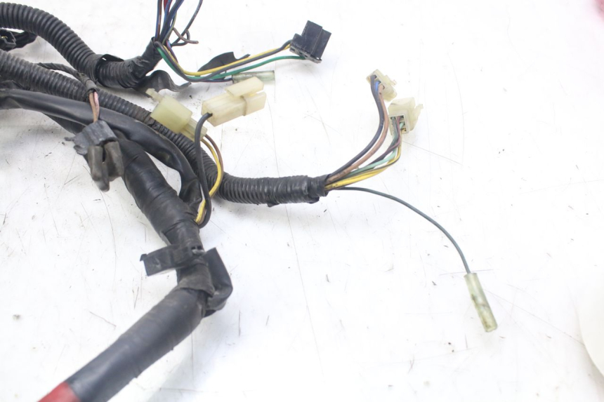 photo de WIRE HARNESS YAMAHA XJN DIVERSION 600 (2000 - 2003) - Checked used part